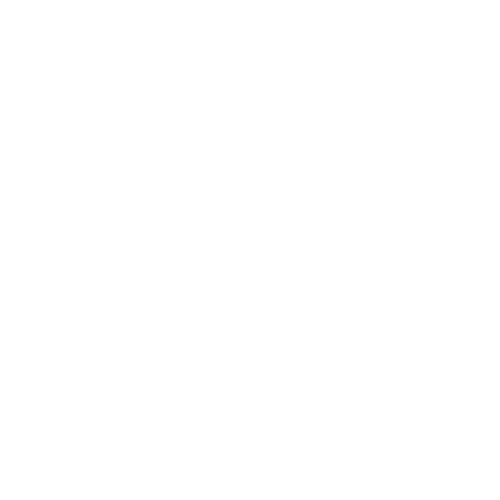 Andiamo Logo